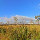 삼락오토캠핑장 이미지