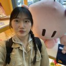 빵녕하세요 대전