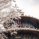 문화온천 이미지