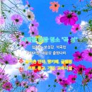 산수유민박 이미지