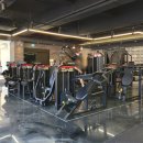 디엘 짐 이미지