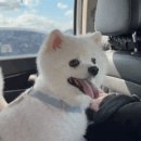 초록발자국펜션 이미지