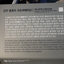 상주 증촌리 석조여래좌상 이미지