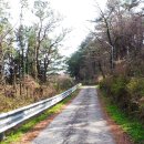 춘강장애인근로센터 이미지