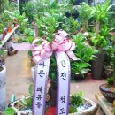 한전청도지점(한국전력공사) 이미지