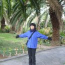 협재올레 이미지