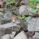 옥천 약수터 이미지