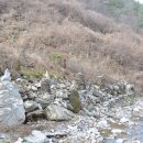 괴목민박 이미지