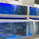 스끼다시천국 이미지