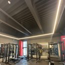 일프로짐 이미지