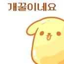 개꿀 이미지