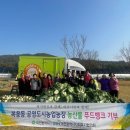 무럭무럭농장 이미지