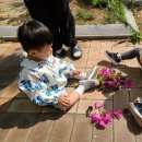 수완생태어린이집 이미지