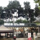 CU E예산예당호휴게소점 | [국내여행 예산] 살목지 예산저수지만 보러 가시나요? 예산 예당호 모노레일&분수쇼 200% 즐기는 실전...