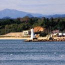 죽변항 이미지