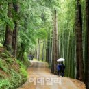 숲소리마을 이미지