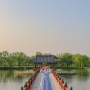 충남 여행, 부여 가볼만한 곳 :: 부여수륙양용버스, 궁남지, 국립부여박물관, 성흥산 사랑나무 이미지