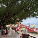 [홍콩 여행] 리펄스베이 틴하우사원(Tin Hau Temple) 후기｜홍콩에서 특별했던 행운의 사원✨