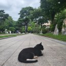 [Jul-Aug 2024] 여름방학