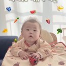 주도 | 모윰 이유식 가운 긴팔 자기주도 이유식 이유식 준비물 후기 추천