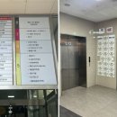보드레 에스테틱 이미지