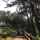 메르토스트 이미지