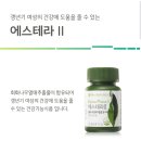 에스테라 이미지