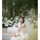 본식스냅 미무아르스튜디오 계약 후기