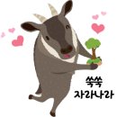 미주이비인후과의원 이미지