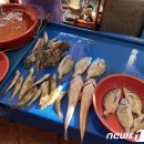 활어종합수족관 이미지