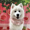 댕그랑댕 이미지