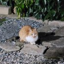 해금강하늘가람펜션 이미지