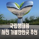서천금빛노을서울캠핑장 이미지