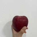 이뻐이뻐