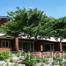 메디팜평화약국 이미지