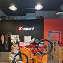 엑스퍼트코리아 | 엑스퍼트(X-spurt) 스타필드하남점 매장방문, 로얄...어린이 자전거 문5(MOON5) 내돈내산 구매후기.