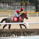 렛츠런파크 제주 이미지