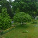 아이리스민박 이미지