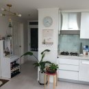 목화(2차) 이미지