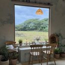 낙원로 | 제주 서쪽 여행 한경면 조용한 카페 줄라이앤어거스트