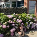 (주)위드스테이 | 남해 여행:: 더풀버거 | 남해스떼 | 스테이위드북 | 카페보통날
