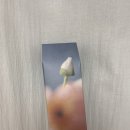 그랑핸드 | 수지살몬 핸드크림 카카오톡선물하기 추천 후기