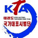 국가대표 한빛태권도 이미지