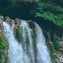 가득농장 이미지