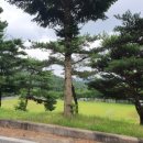청양숭의청소년수련원