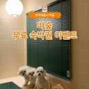 더 따숲 이미지