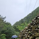 오이코스테이 이미지