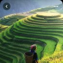 [북부] 수채화 이미지