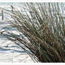 신림정형외과의원 이미지