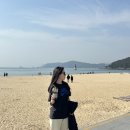 춘하추동아구찜 | 부산] 먹으러 간 2박3일 부산여행 2일차_거대곰탕, 춘하추동밀면, 부전시장 명란김밥(주말 웨이팅...